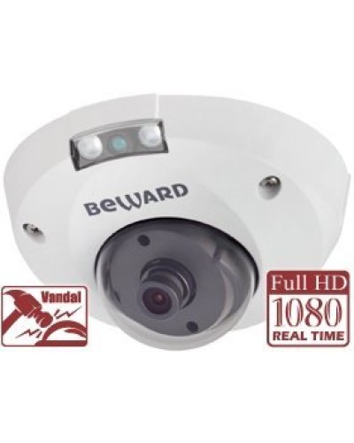 NK55630D8. IP-камера купольная. Beward в Артеме