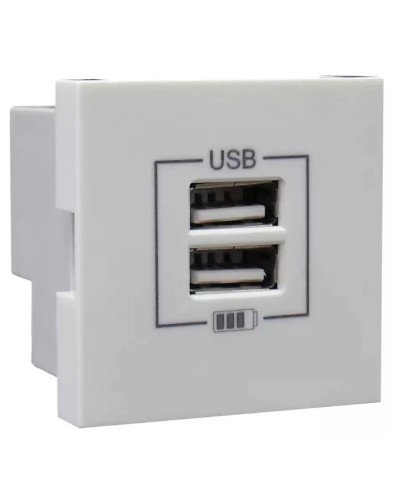 Розетка USB двойная, зарядная, белая (45439 SBR): Розетка USB двойная в Артеме