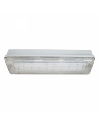 SL-213-30LED1.8 исп. 1 IP65. Светильник аварийного освещения. ИП Раченков А.В. в Артеме