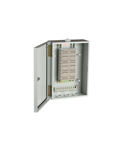 ШРН-В/100-Р (120908-00122). Шкаф ШРН-В/100-Р, плинт ПВТ-10Р-5е. ССД (Связьстройдеталь) в Артеме